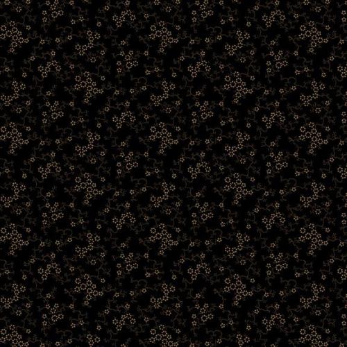 Paula's New Companions Black