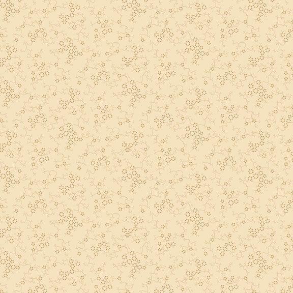 Paula's New Companions Cream