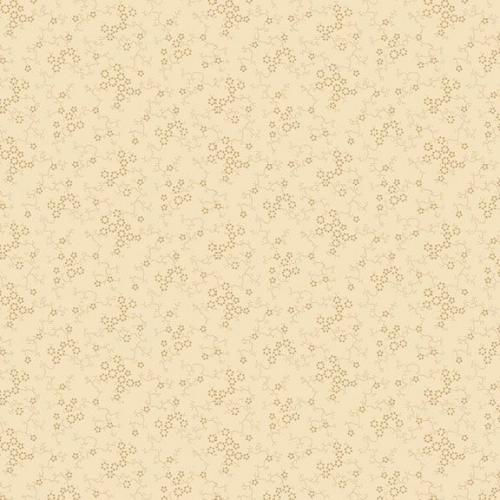 Paula's New Companions Cream