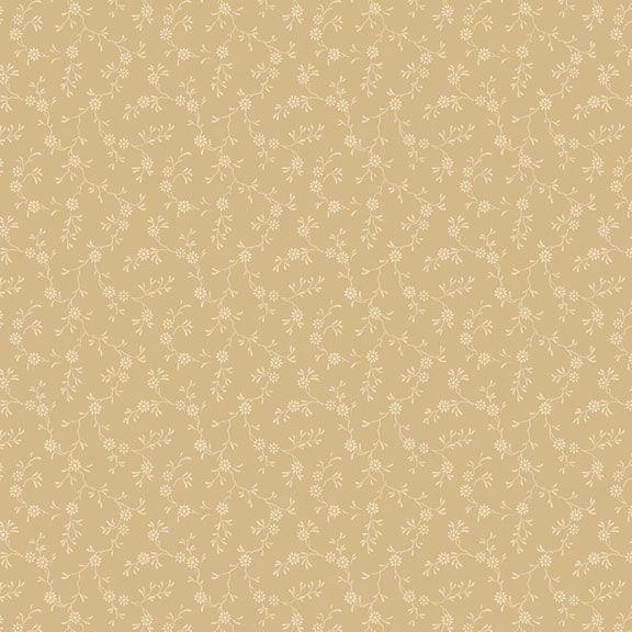 Paula's New Companions Cream