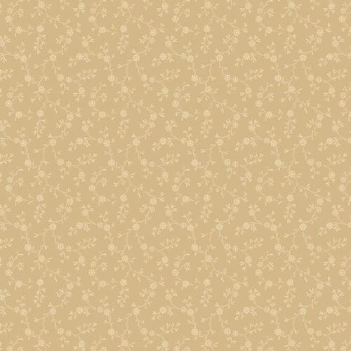 Paula's New Companions Cream