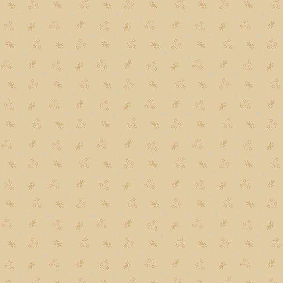 Paula's New Companions Cream