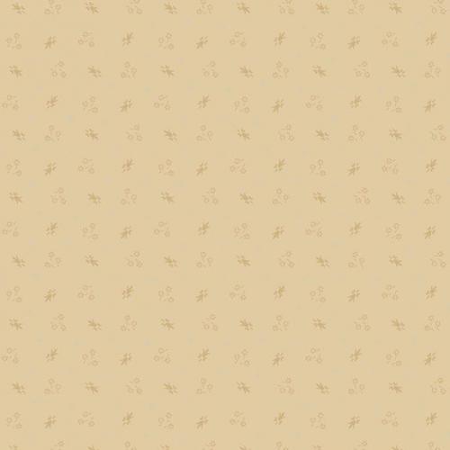 Paula's New Companions Cream