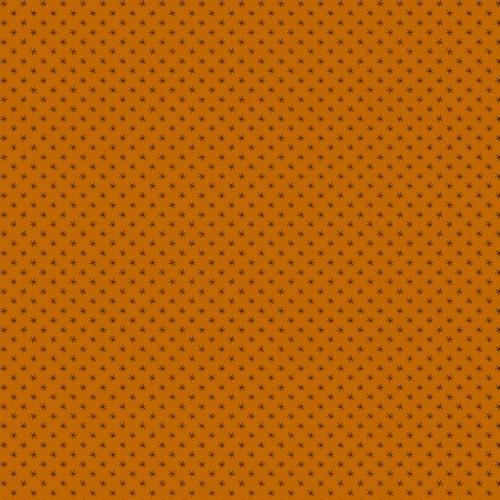 Paula's New Companions Orange