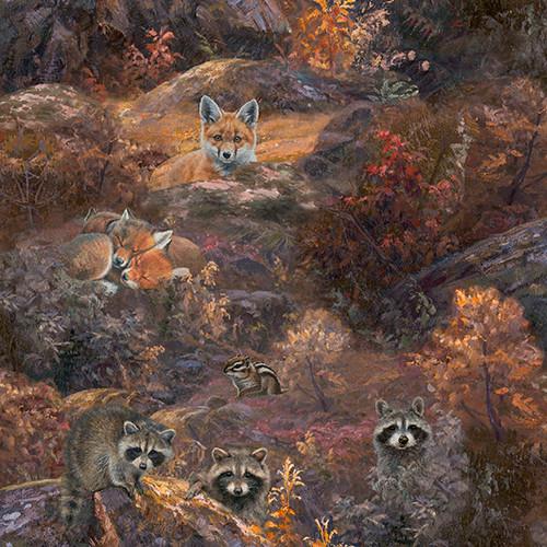 Whitetail Country Brown