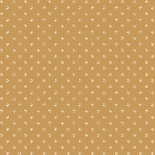 Carrie's Caramels & Creams Tan