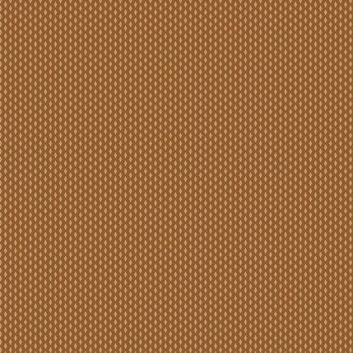 Carrie's Caramels & Creams Tan