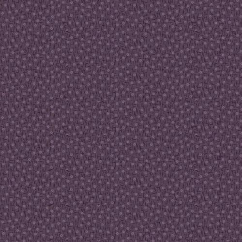 Plumberry III Purple