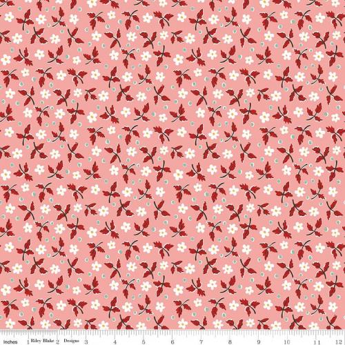 Bee Bundle Limited Edition Coral