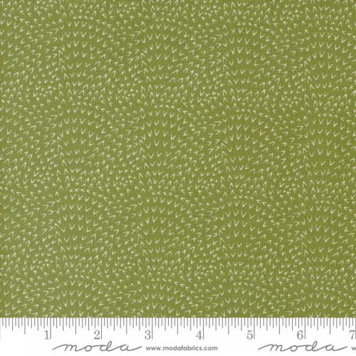 Woodland Wonder Green