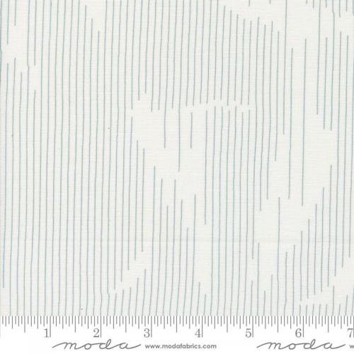 Still More Paper White