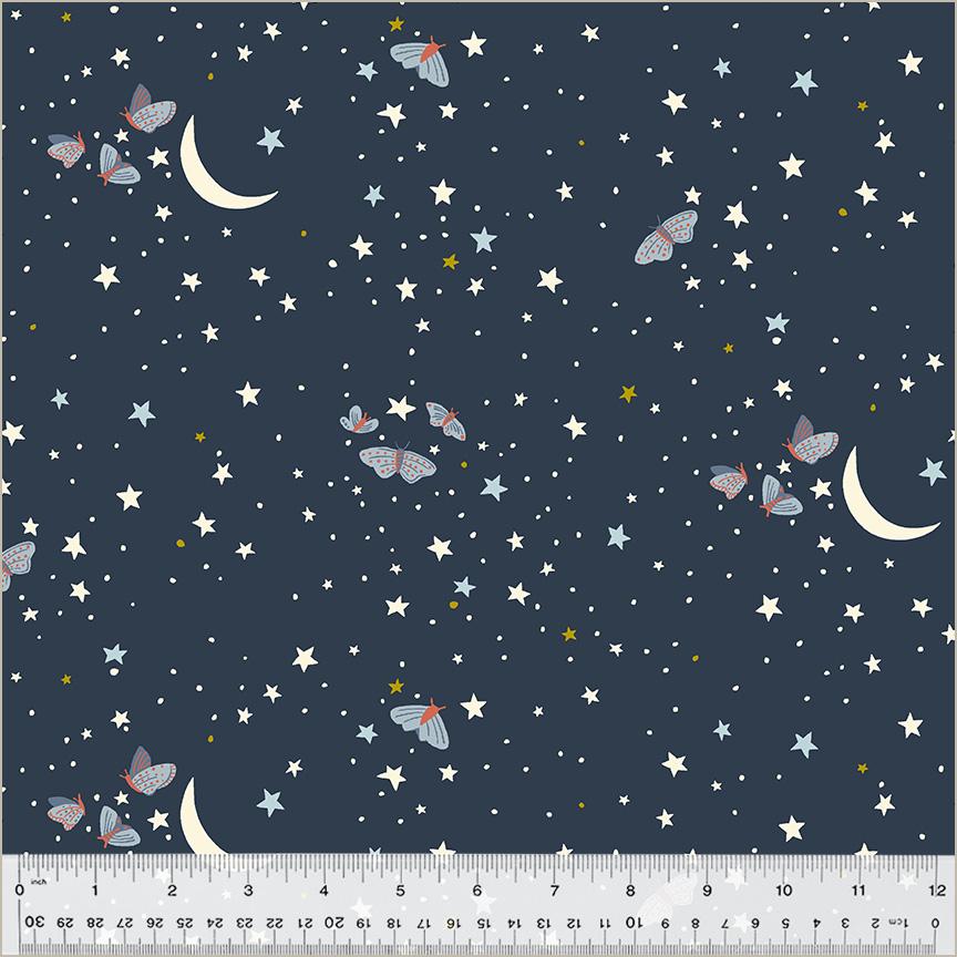 Under the Canopy Blue