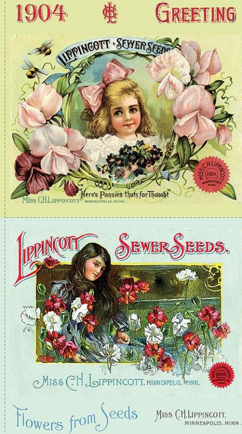 Sewing Seeds III Panel