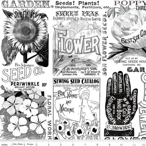 Sewing Seeds III White