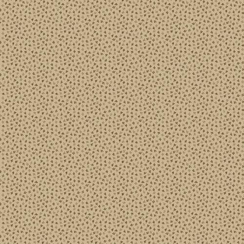 Colorful Coordinates & Stashing Stripes Tan