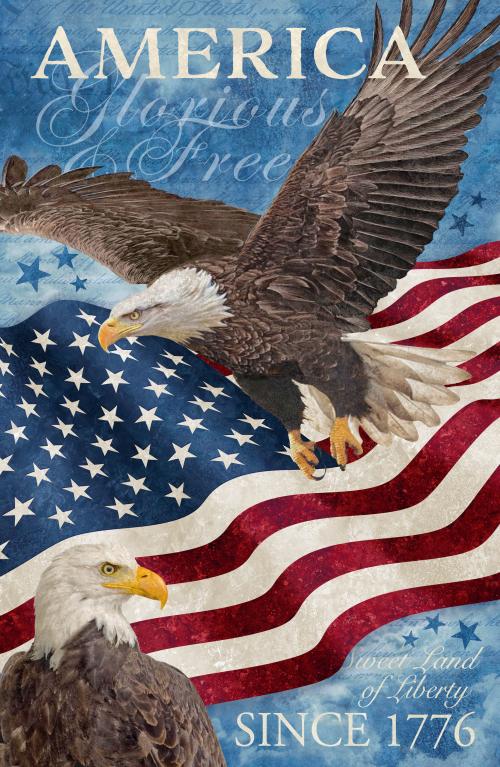 Stars & Stripes Panel