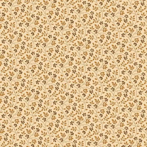 Pam's Stars - Special Edition Cream