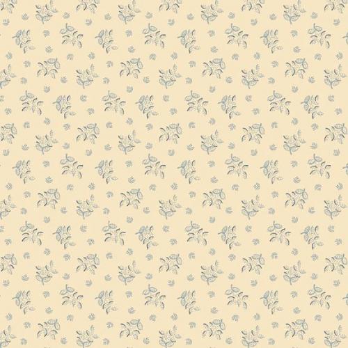 Pam's Stars - Special Edition Cream