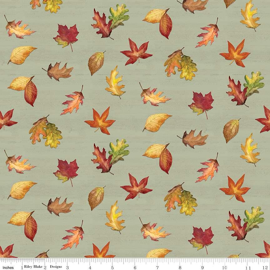 Covered Bridges in Fall Green