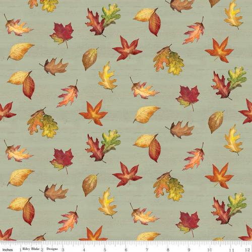 Covered Bridges in Fall Green