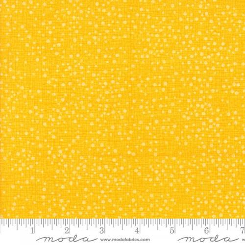 Dotty Thatched Yellow