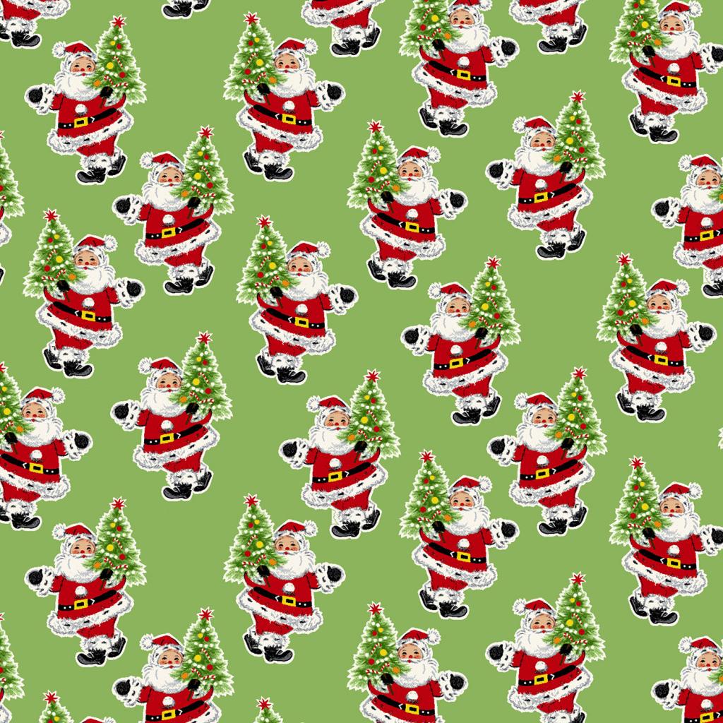 Santa's Coming to Town Green