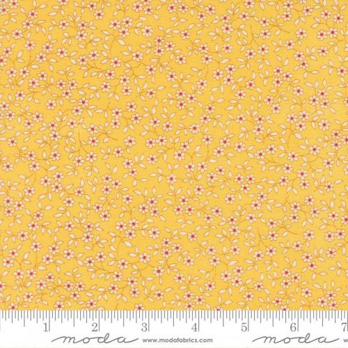 30s Playtime 2025 Yellow