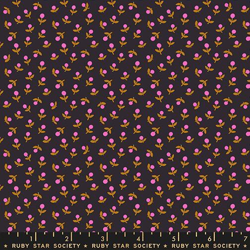 Ruby Star Society: Catnap Black