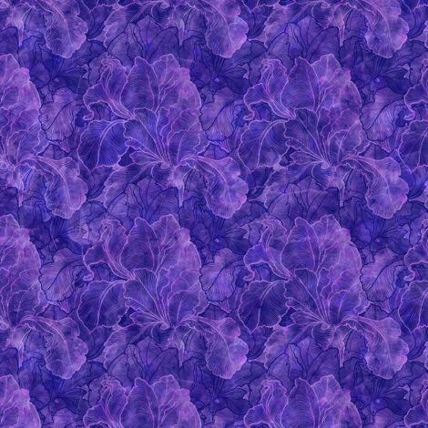 Infatuation Iris Texture Purple