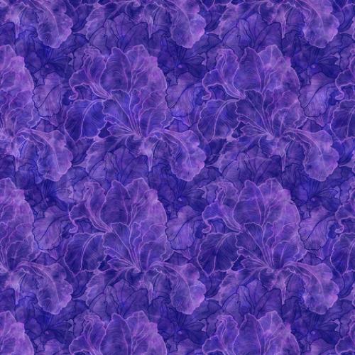 Infatuation Iris Texture Purple