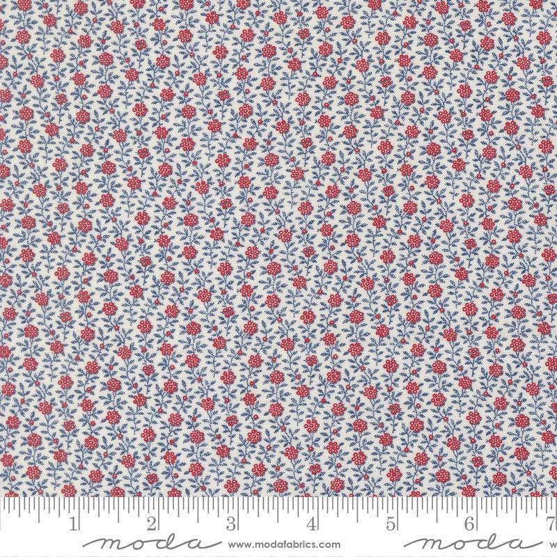 American Gatherings III Cloud