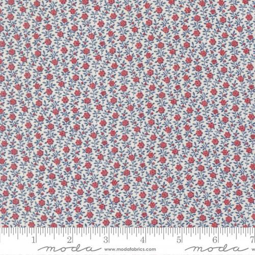 American Gatherings III Cloud