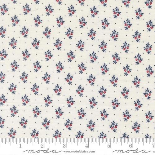 American Gatherings III Cloud