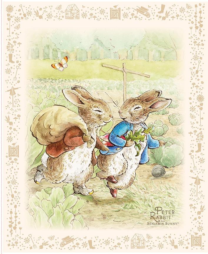 Peter Rabbit™ & Benjamin Bunny™ Panel
