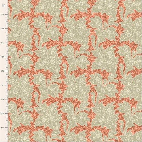 Songbird Stella Coral Blender