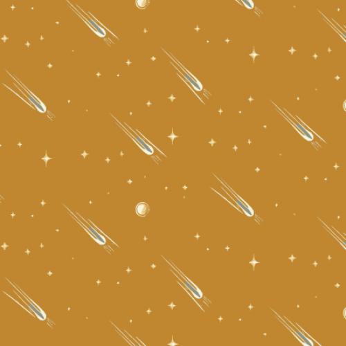 Beyond the Horizon Path of the Meteorite - Dijon