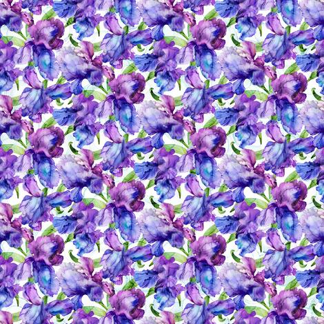 Infatuation Packed Iris White Multi