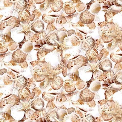 Let Your Light Shine Packed Shells Shell