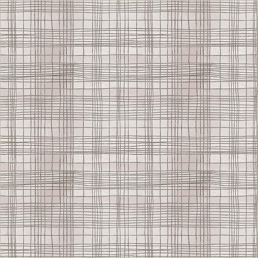 The Plaid One String Theory Plaid Seashell