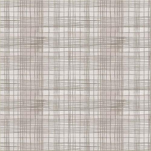 The Plaid One String Theory Plaid Seashell