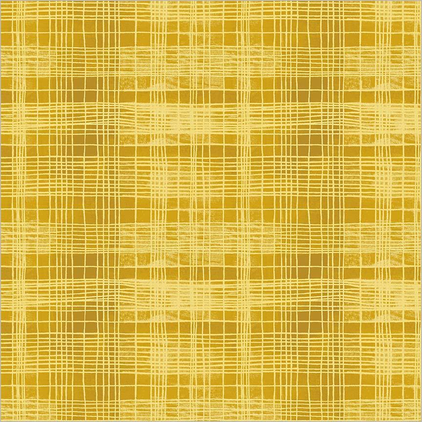 The Plaid One String Theory Plaid Delicata