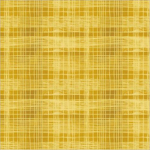 The Plaid One String Theory Plaid Delicata