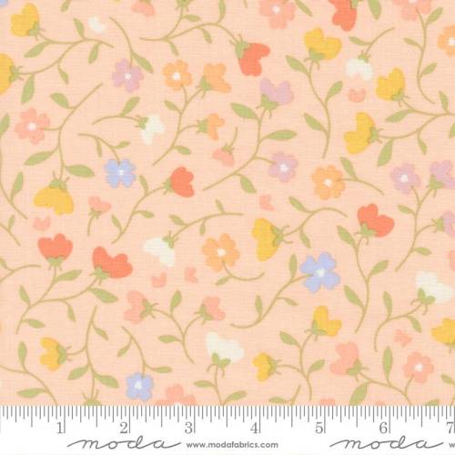Pastel Prairie Meadow Petal