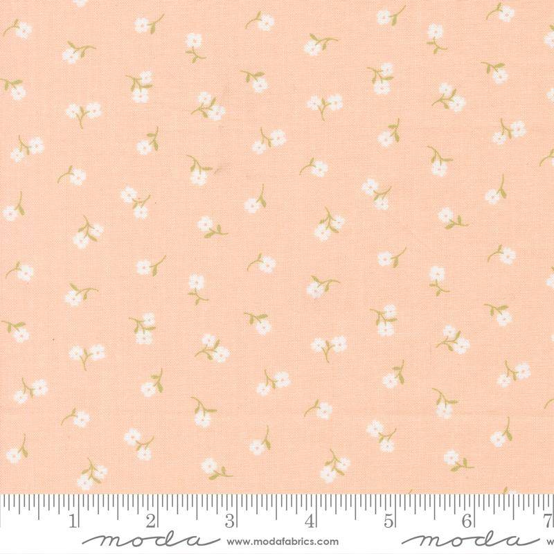 Pastel Prairie Tinys Petal