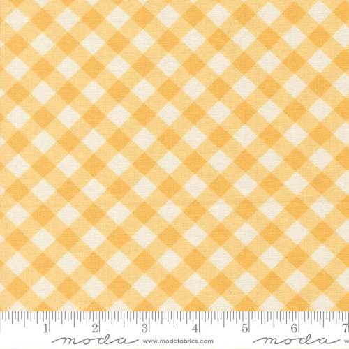 Pastel Prairie Gingham Sunshine