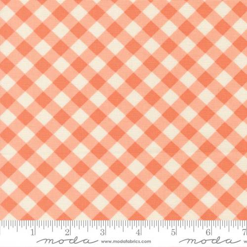 Pastel Prairie Gingham Coral