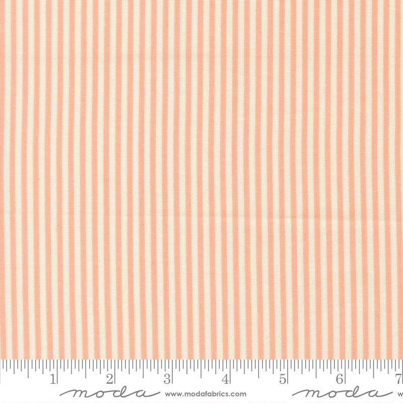 Pastel Prairie Stripes Jovial