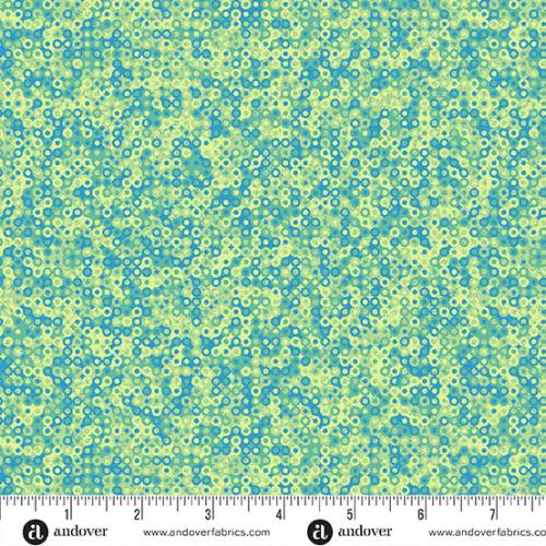 Fairy Rings Cymbidium