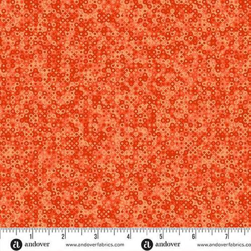 Fairy Rings Marmalade