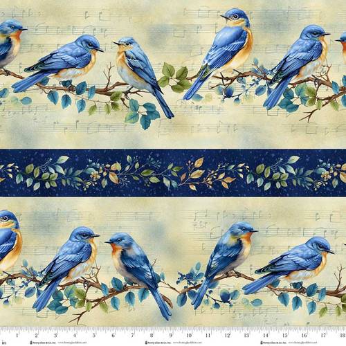 Awakenings Border Stripe Blue